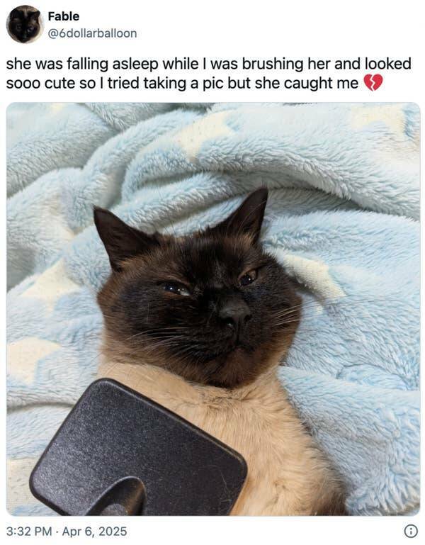 Feel-Good Moments That Made The Internet Smile Feel-Good Moments That Made The Internet Smile