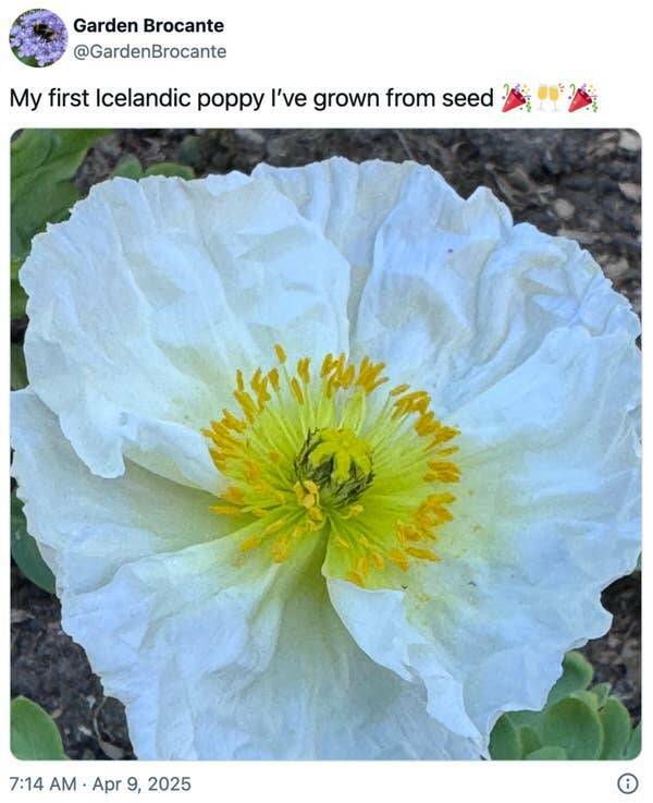 Feel-Good Moments That Made The Internet Smile Feel-Good Moments That Made The Internet Smile