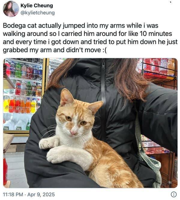 Feel-Good Moments That Made The Internet Smile Feel-Good Moments That Made The Internet Smile