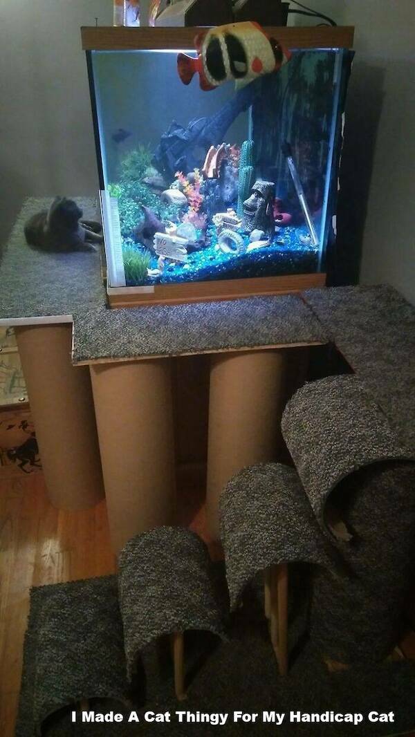 Feel-Good Moments That Made The Internet Smile Feel-Good Moments That Made The Internet Smile