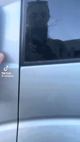 Busted! Dogs Who Couldn’t Hide Their Crimes