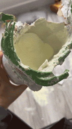 Busted! Dogs Who Couldn’t Hide Their Crimes