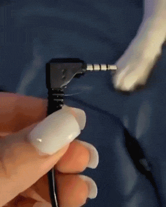 Busted! Dogs Who Couldn’t Hide Their Crimes Busted! Dogs Who Couldn’t Hide Their Crimes