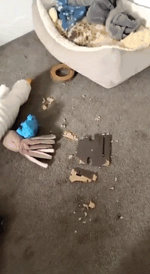 Busted! Dogs Who Couldn’t Hide Their Crimes Busted! Dogs Who Couldn’t Hide Their Crimes