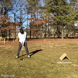 Daily Gifdump [WEEKEND EDITION]