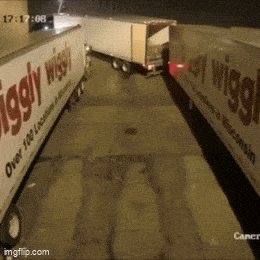 https://img.izismile.com/img/img15/20250419/gifs/daily_gifdump_4979_53.gif