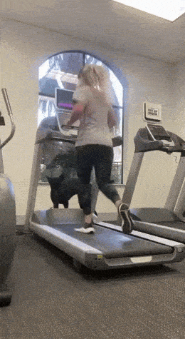 https://img.izismile.com/img/img15/20250419/gifs/daily_gifdump_4979_58.gif