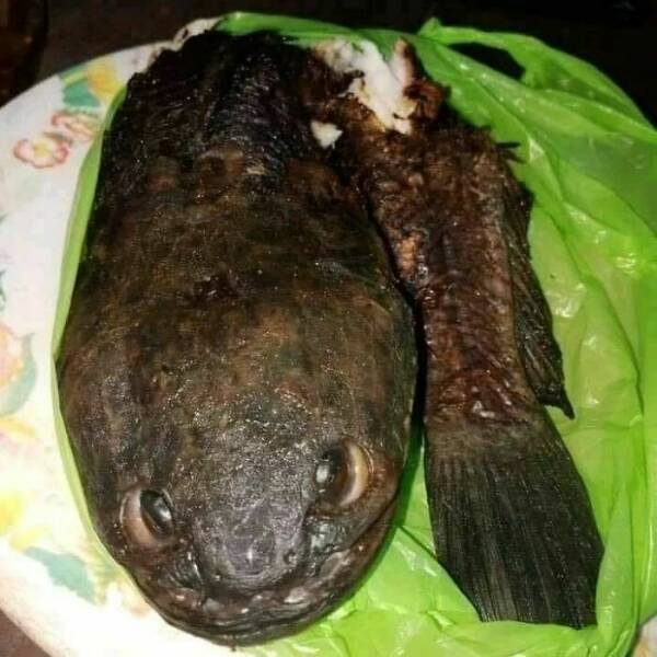 Culinary Crimes That Should Be Prosecuted