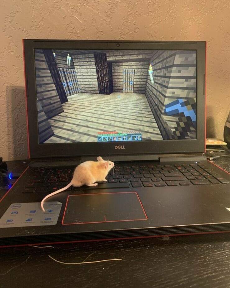 Little Moments That Warm The Heart