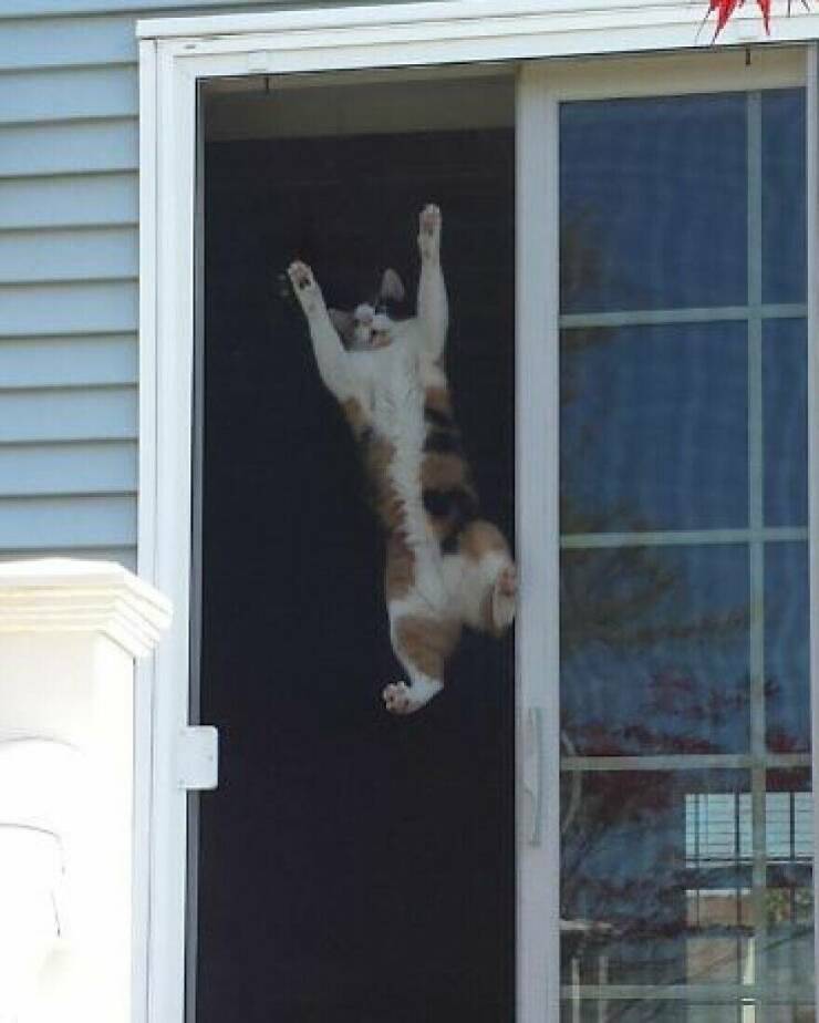 Little Moments That Warm The Heart