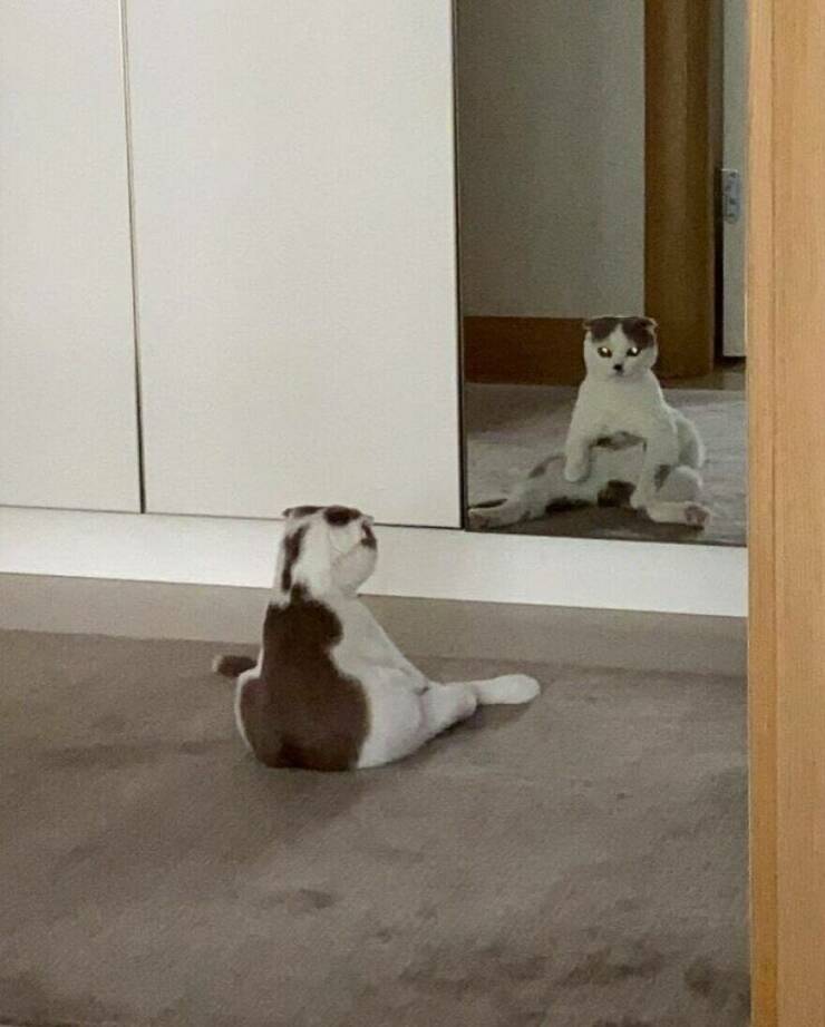 Little Moments That Warm The Heart