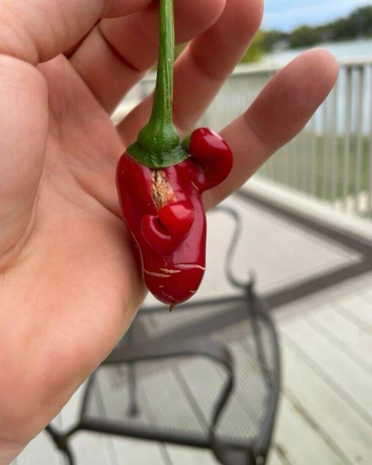 Little Moments That Warm The Heart