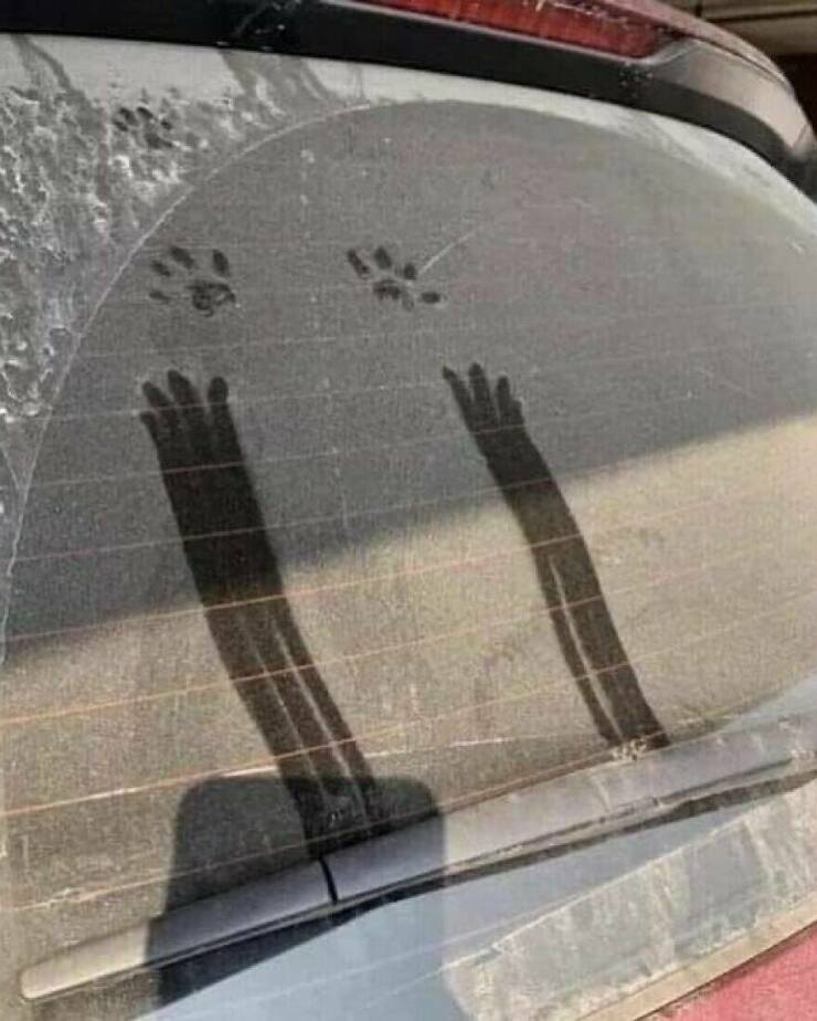 Little Moments That Warm The Heart