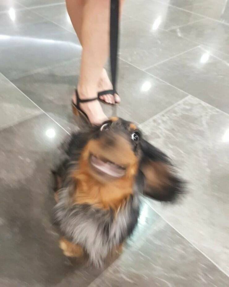 Little Moments That Warm The Heart