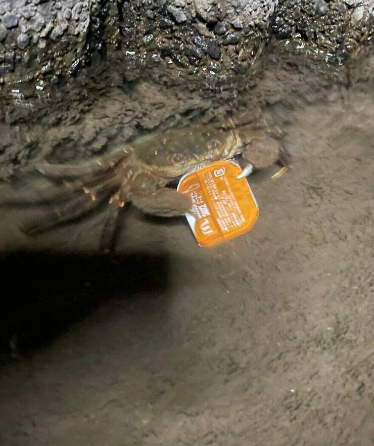 Little Moments That Warm The Heart