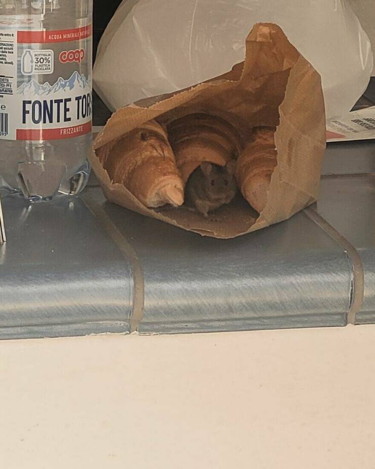 Little Moments That Warm The Heart