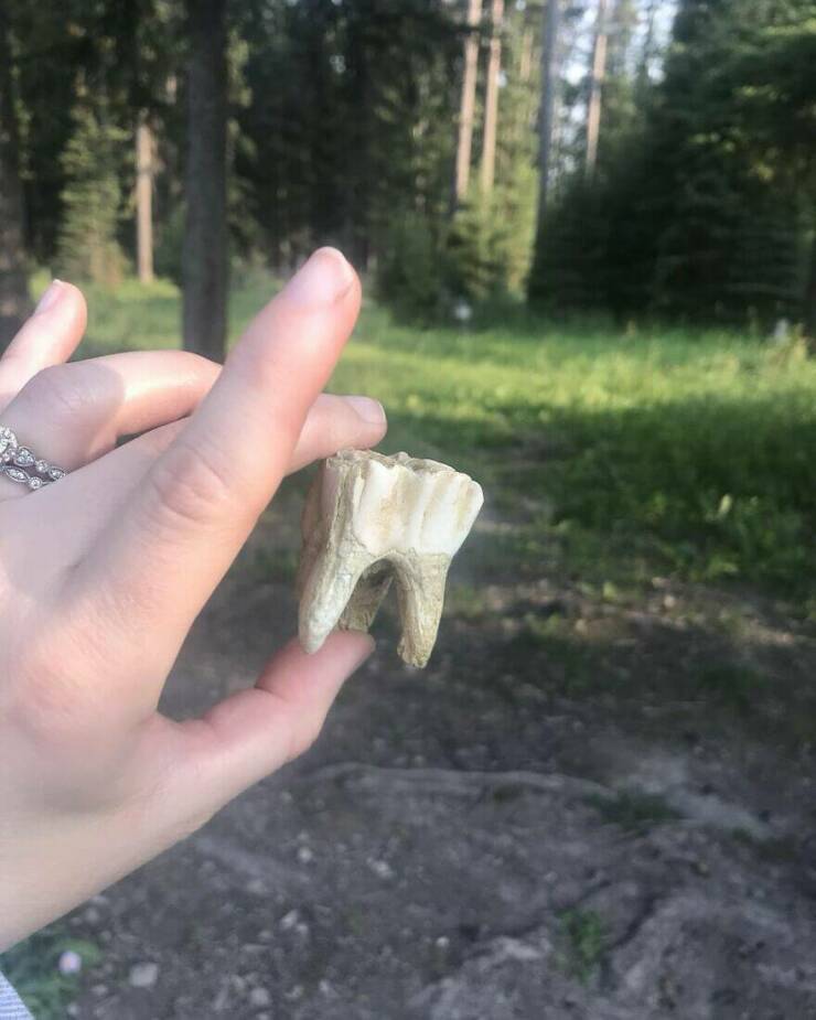 Little Moments That Warm The Heart