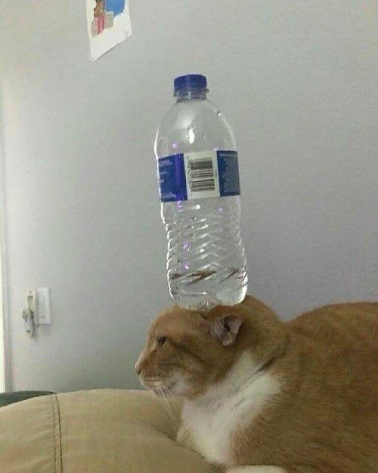 Little Moments That Warm The Heart