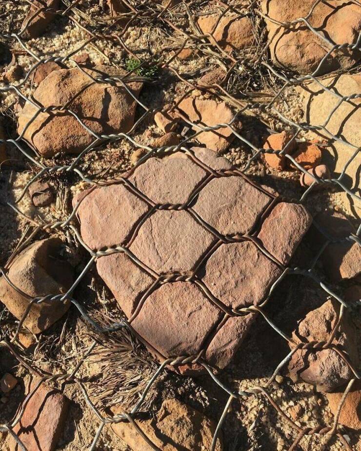 Little Moments That Warm The Heart