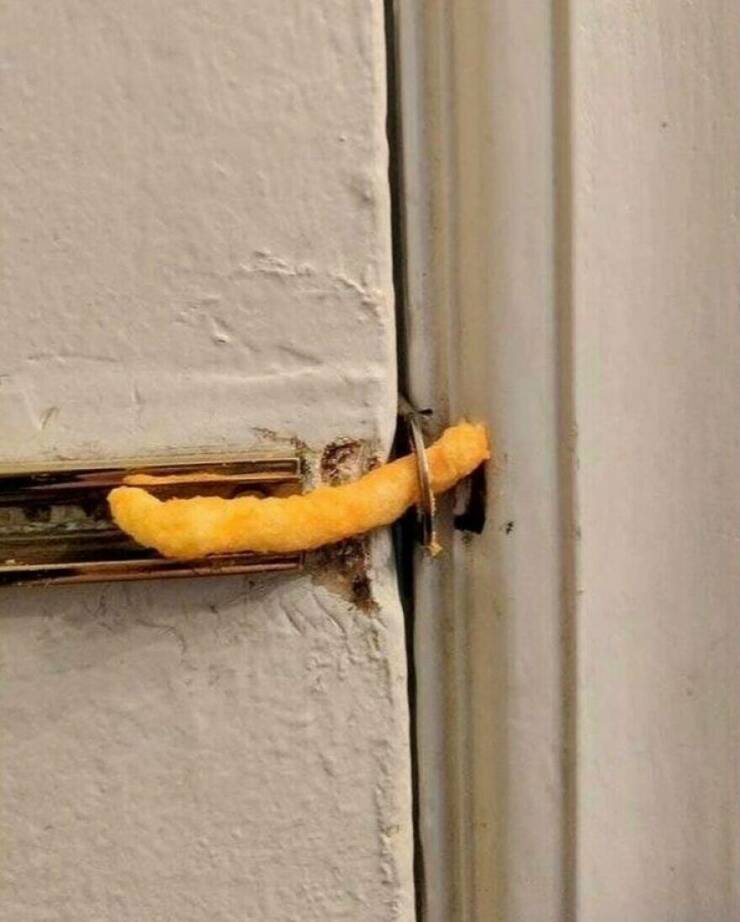 Little Moments That Warm The Heart