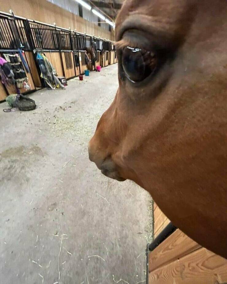 Little Moments That Warm The Heart