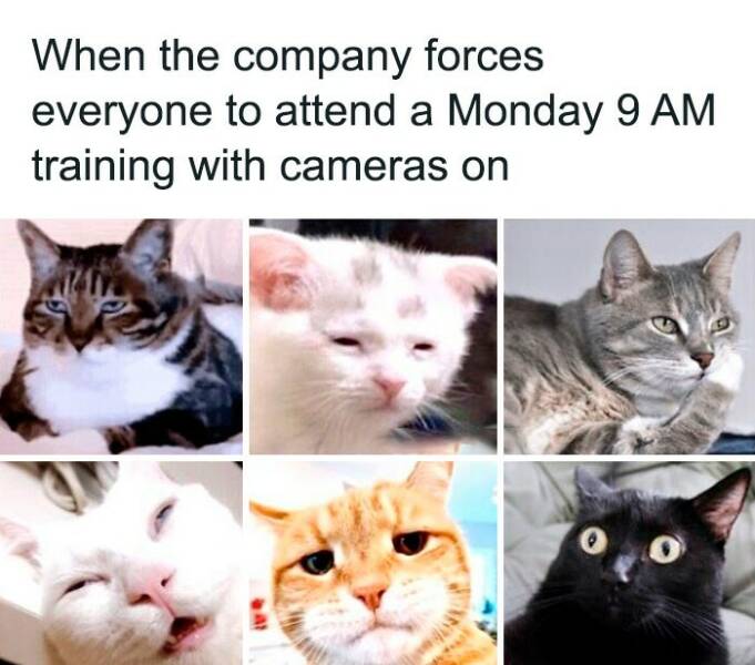 Office Memes That Deserve A Raise