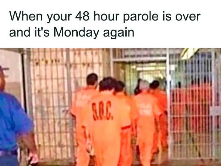 Office Memes That Deserve A Raise