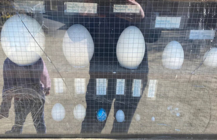 Time to Find Some Hidden Gems IRL