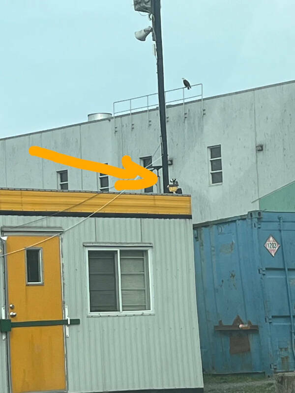 Time to Find Some Hidden Gems IRL