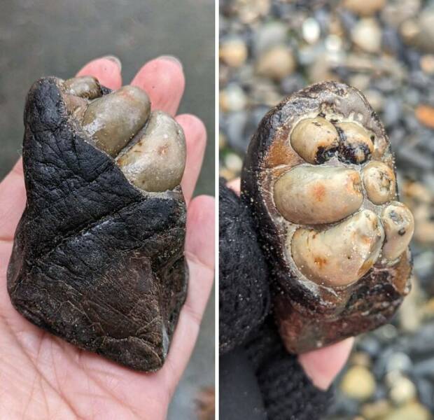 Unbelievable Images You’d Swear Were Fake