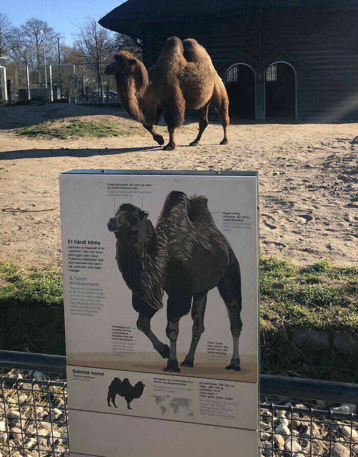 Unbelievable Images You’d Swear Were Fake