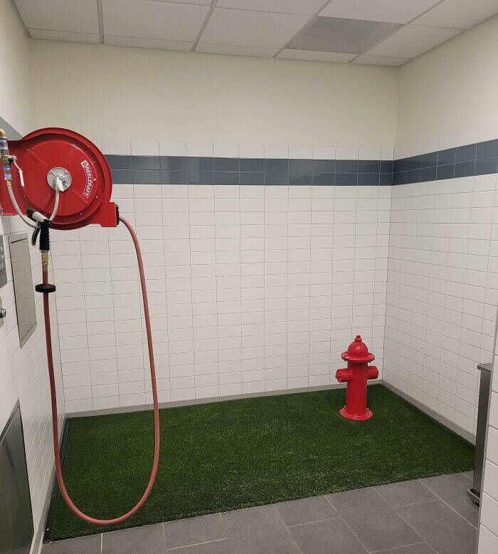 Unbelievable Images You’d Swear Were Fake