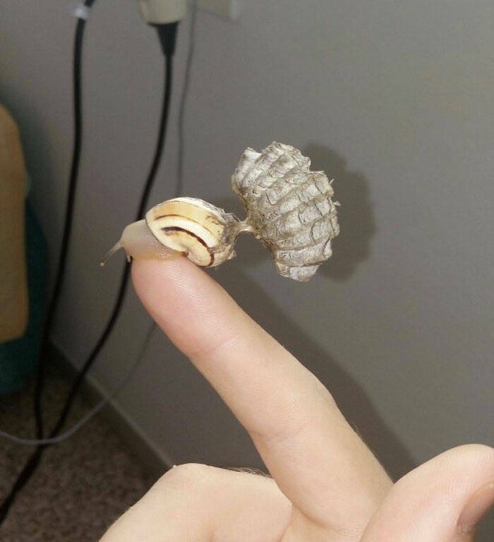 Unbelievable Images You’d Swear Were Fake