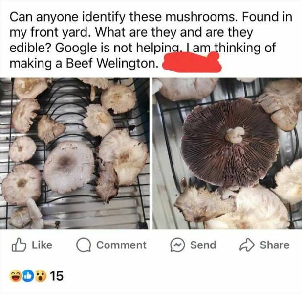 Food Fails: Who Thought This Was Edible? Food Fails: Who Thought This Was Edible?