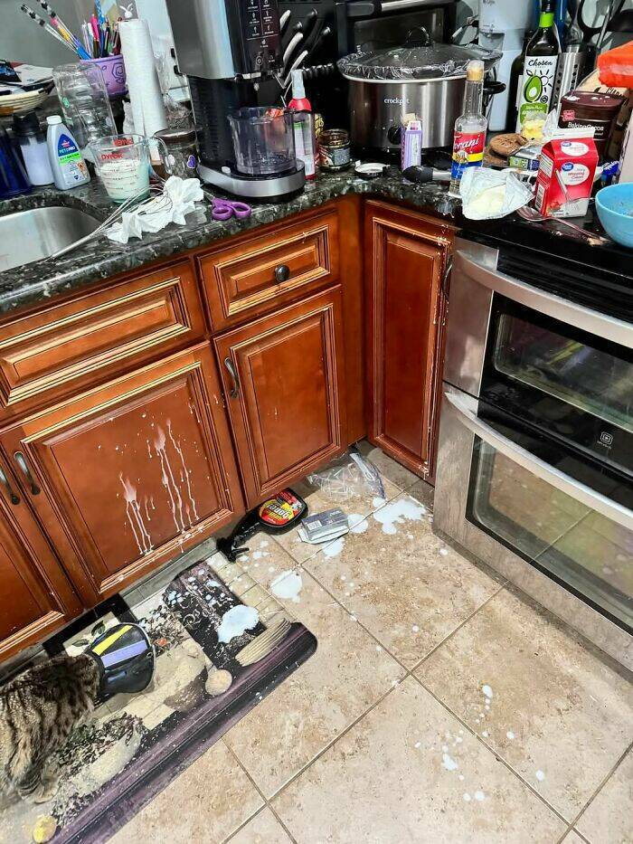 Food Fails: Who Thought This Was Edible? Food Fails: Who Thought This Was Edible?