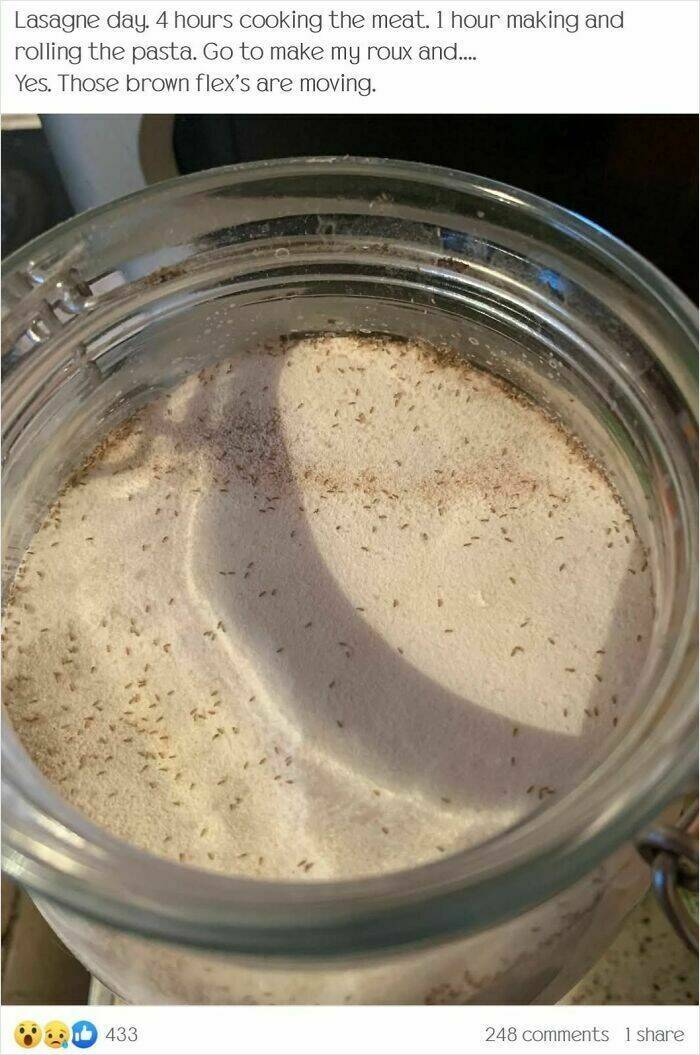 Food Fails: Who Thought This Was Edible? Food Fails: Who Thought This Was Edible?