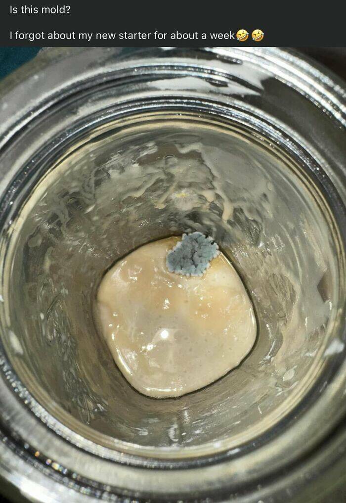 Food Fails: Who Thought This Was Edible? Food Fails: Who Thought This Was Edible?