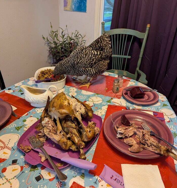 Food Fails: Who Thought This Was Edible? Food Fails: Who Thought This Was Edible?