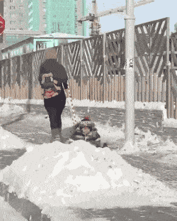 Daily Gifdump Daily Gifdump