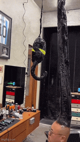 Daily Gifdump Daily Gifdump