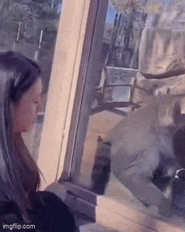 Daily Gifdump Daily Gifdump