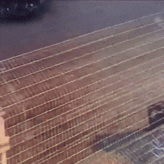 Daily Gifdump Daily Gifdump