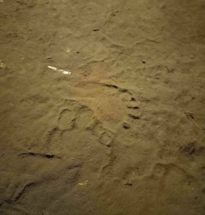 Strange Finds In Houses