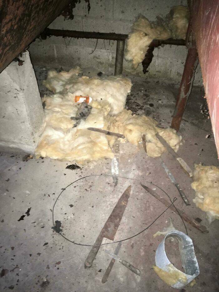 Strange Finds In Houses