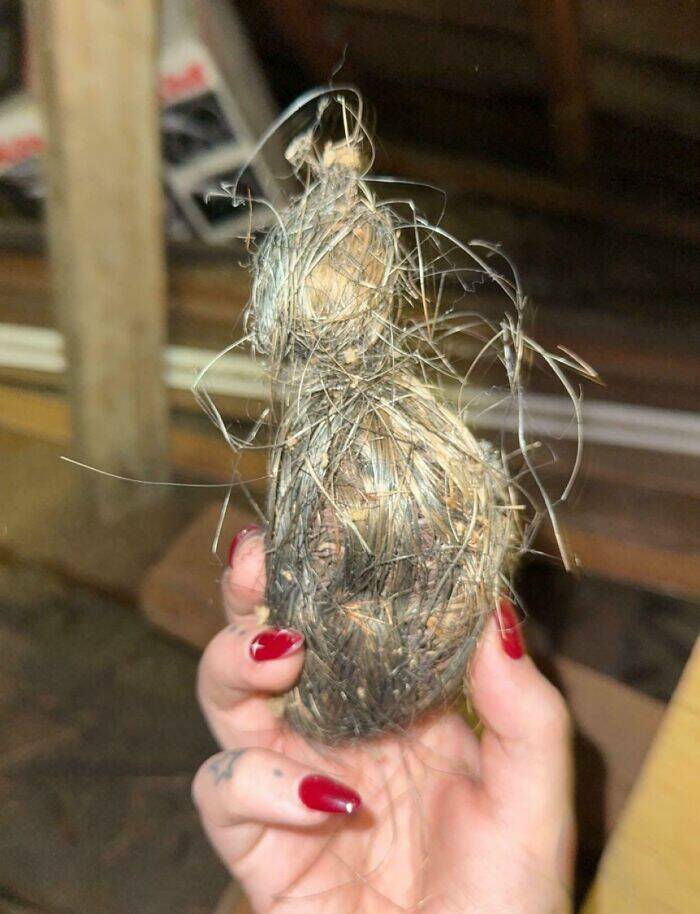 Strange Finds In Houses