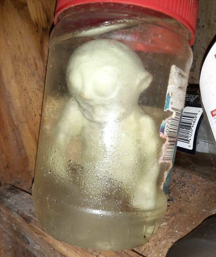 Strange Finds In Houses