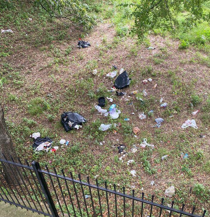 Clueless Wanderers With Opinions They Shouldnt Have