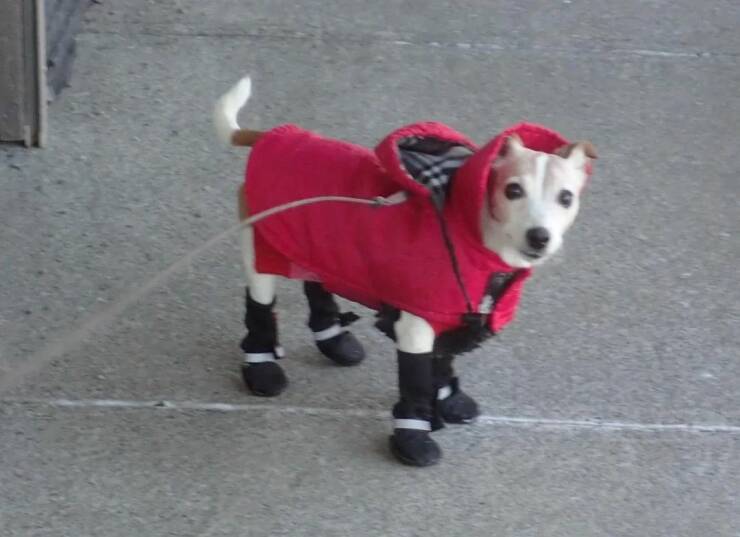 Daily Picdump Daily Picdump