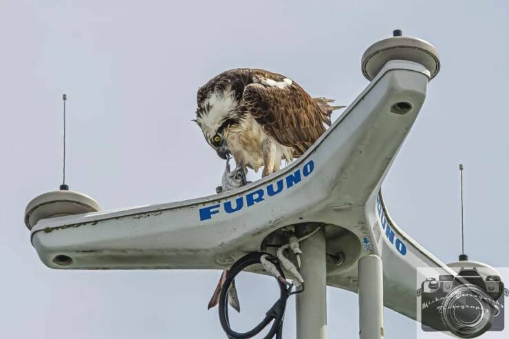 Daily Picdump Daily Picdump