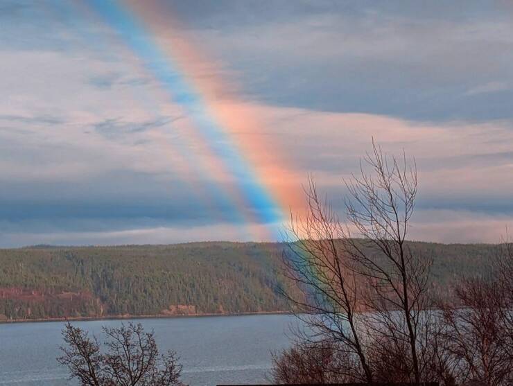 Daily Picdump Daily Picdump